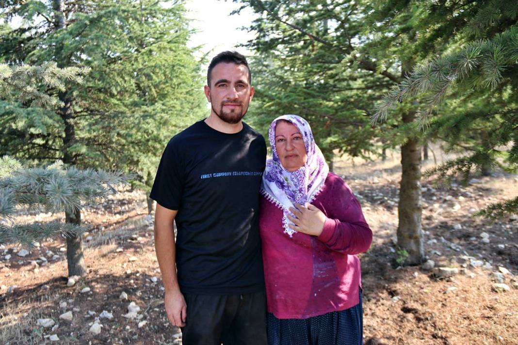 Arabasını satıp 5 bin sedir fidanı dikti: Şimdi ormana dönüştü! 8